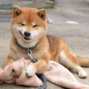 相信你也害怕遇到這幾種人吧？