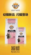 奧丁精品幼貓糧閃耀登場！??！