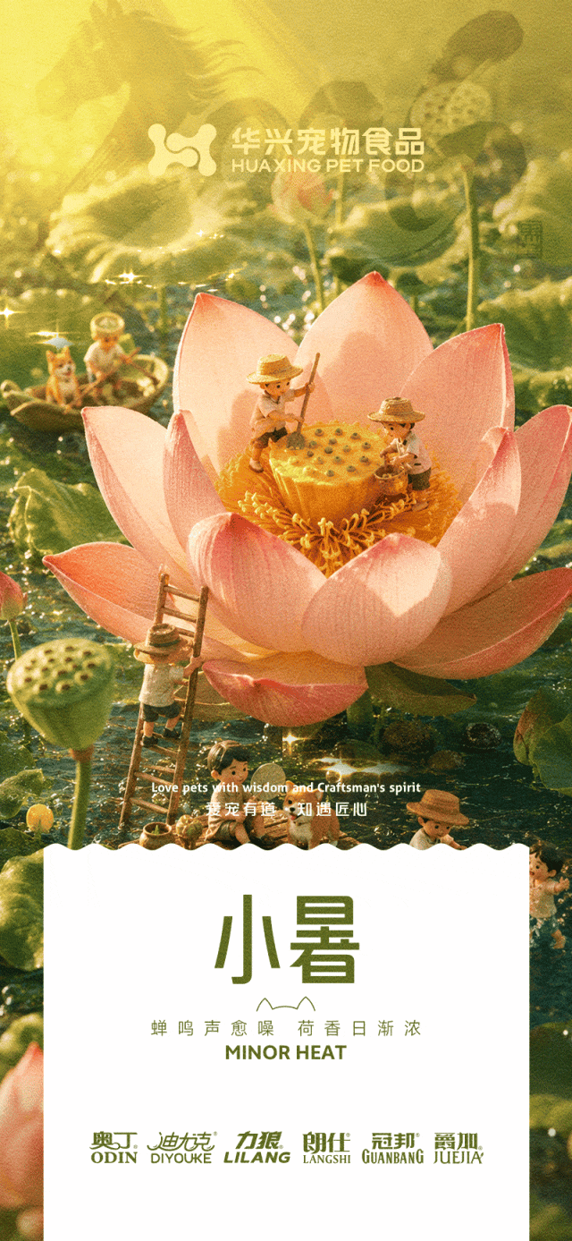 華興寵物